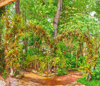 Orkide bahçesinin kemerli girişi gölgeli dar sokaklar ve yemyeşil tropik çalılıklar, Rajapruek parkı, Chiang Mai, Tayland