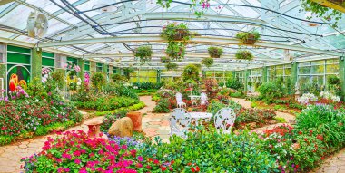 CHIANG MAI, THAILAND - MAY 7, 2019: Panorama of Western flower species pavilion with blooming petunia, pencies, geranium, salvia and other plants in flower beds and hanging pots, Rajapruek park, on May 7 in Chiang Mai clipart