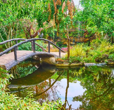 Rajapruek Park 'ın orkide bahçesindeki göletin arkasındaki şelale, Chiang Mai, Tayland