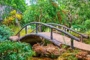 Dar derenin üzerindeki küçük köprü, Rajapruek Parkı 'nın çalılıklarıyla çevrili, Chiang Mai, Tayland