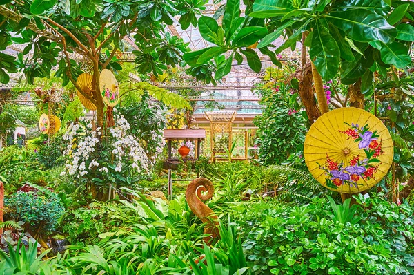 Exuberante Vegetación Sombrillas Decorativas Del Jardín Orquídeas Rajapruek Park Chiang — Foto de Stock