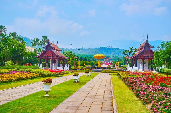 Chiang Mai Thailand Mungkin 2019 Patung Pohon Emas Mandi Emas — Stok Foto
