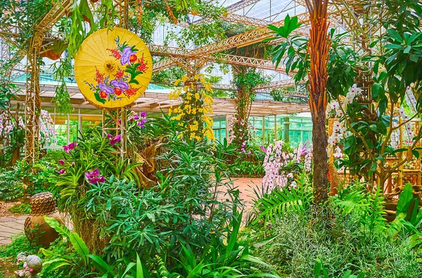 Exuberante Jardín Orquídeas Con Flores Coloridas Sombrillas Orientales Decorativas Lugar — Foto de Stock