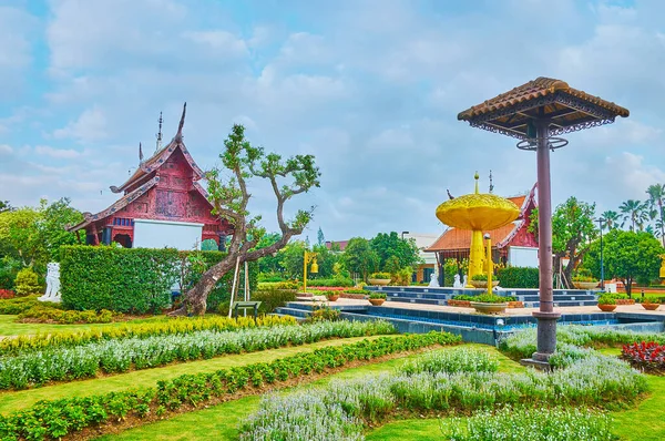 Chiang Mai Thailand Mungkin 2019 Bunga Hias Sekitar Patung Pohon — Stok Foto