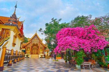 Wat Phra 'nın bahçesi. Doi Suthep tapınağı. Gölgeli ağaçlar, çiçek açan begonviller ve süslü tapınaklar, Chiang Mai, Tayland