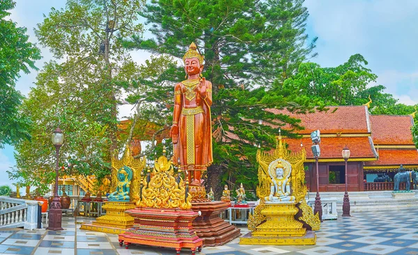 Потрясающие Образы Будды Разных Жестах Расположенные Саду Ват Пхра Дой — стоковое фото