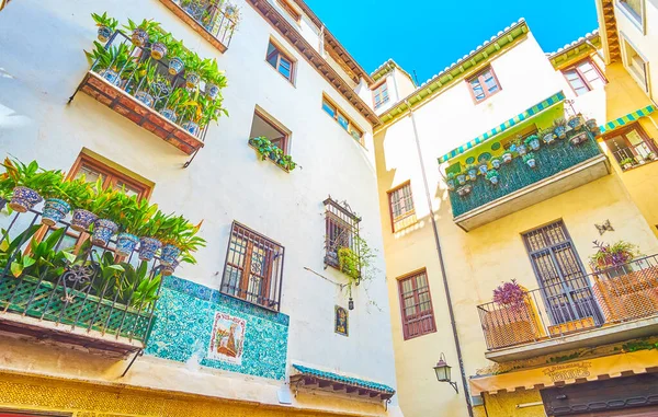 Granada Spain September 2019 Yard Living House Decorated Plants Balconies — Stockfoto