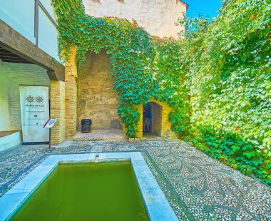 GRANADA, SPAIN - SEPTEMBER 25, 2019: The courtyard of El Banuelo (Arab Baths, hammam) with a pool, scenic floor with floral pattern and grape vines on the wall, on September 25 in Granada