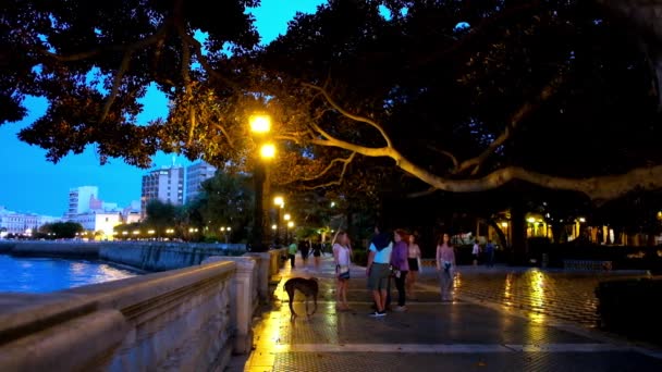 Cadiz Espagne Septembre 2019 Les Gens Profitent Promenade Nocturne Long — Video