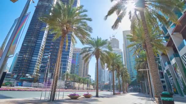 ドバイ アラブ首長国連邦 2020年3月3日 ドバイのダウンタウンの近代的なガラスの高層ビルが並ぶシェイク モハメド ラシード ブルバード沿いの日当たりの良いヤシの路地は 3月3日にドバイで — ストック動画