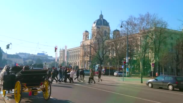 Vienna Austria February 2019 Crowded Pedestrian Crossing Burgring Vintage Horse — Stock Video