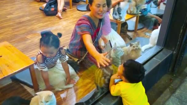 Chiang Rai Thailand Maio 2019 Mãe Com Filhas Acariciar Gatos — Vídeo de Stock