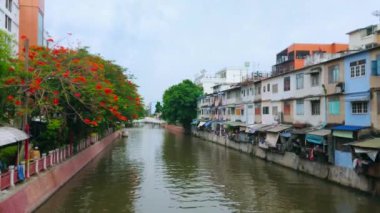 Banglamphu ilçesinin eski meskenleri olan Bangkok şehri, çiçek açan ateş ağacı ve dar Bang Lamphu Khlong (kanal), Tayland