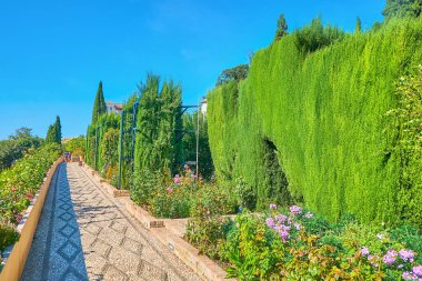 Mükemmel peyzajlı Generalife Bahçesi, Alhambra, Granada, İspanya boyunca keyifli bir yürüyüş.