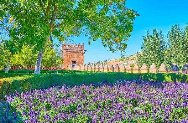 Der Malerische Alhambra Garten Mit Ultraviolettem Salbeibeet Salbei Schattigen Bäumen — Stockfoto