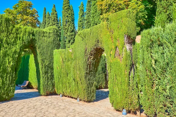 Paisajismo Perfecto Del Jardín Del Generalife Con Tuyas Bancos Laberinto — Foto de Stock