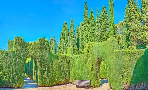 Granada España Septiembre 2019 Panorama Del Jardín Ornamental Del Generalife — Foto de Stock