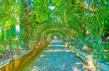 Yeşil kemerli ve yemyeşil ağaçlı Alhambra parkının dar geçidi, Granada, İspanya