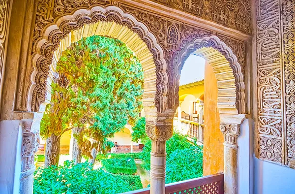 2019年9月25日 Spain Granada 9月25日 位于格拉纳达的狮子宫 Alhambra Nasrid Palace 的复杂拱形窗户打开了绿油油的达拉卡花园的景观 — 图库照片