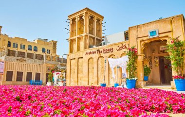 DUBAI, UAE - MARCH 2, 2020: The carpet-like petunia flower bed in front of Arabian tea house, located in vintage clay building with barjeel windcatcher in Al Bastakiya (Al Fahidi) neighborhood, on March 2 in Dubai clipart