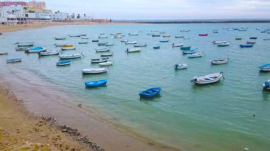 CADIZ, SPAIN - 21 Eylül 2019: 21 Eylül 'de Cadiz' de San Sebastian ve Santa Catalina kaleleri ve uçan martılar gibi birçok tekneyle La Caleta limanının panoraması