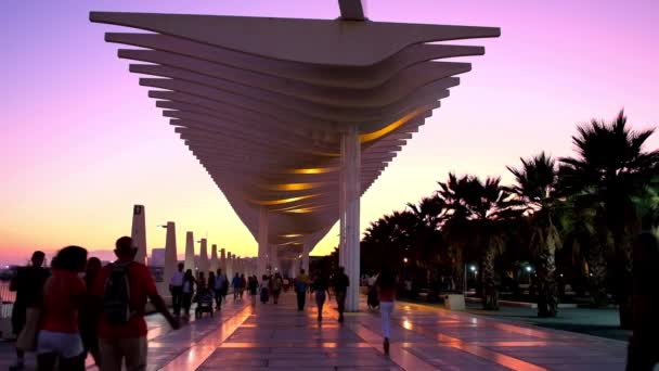 Malaga Spain September 2019 Захід Сонця Ідеально Підходить Прогулянки Пальмовому — стокове відео