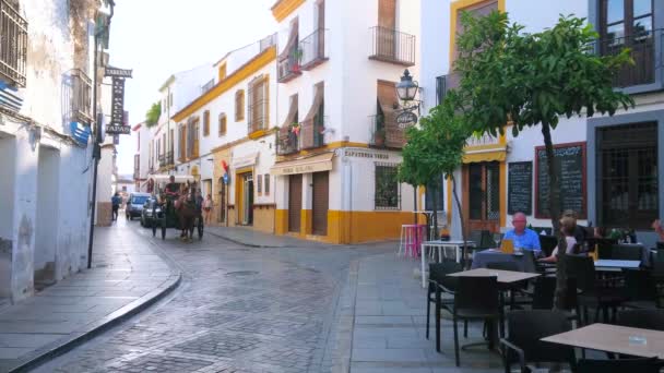 コルドバ スペイン 2019年9月30日 観光客と馬に描かれた馬車は コルドバで9月30日に白い建物 小さなカフェ タパスバーと旧市街の狭い曲がりくねった道に乗っています — ストック動画