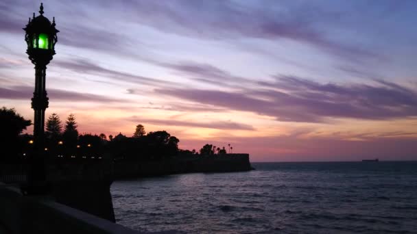 在大西洋海岸上空 紫色的暮色笼罩着阿拉米达 阿波达卡 Alameda Apodaca 和玛克斯 科米利亚斯 Marques Comillas 花园的树木轮廓 — 图库视频影像