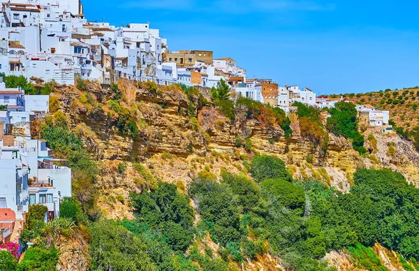 Біле Помешкання Аркос Краю Скелі Вкрите Зеленою Рослинністю Іспанія — стокове фото