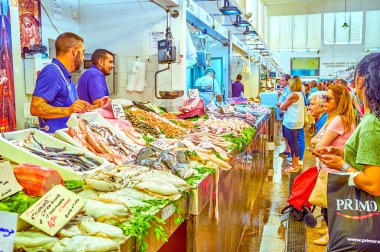 CADIZ, SPAIN - SEPTEMBER 24 Eylül 2019: Mercado Central de Abastos, 24 Eylül 'de Cadiz' de kıyı sularında yakalanan en büyük çiğ balık ve deniz ürünleri çeşididir.