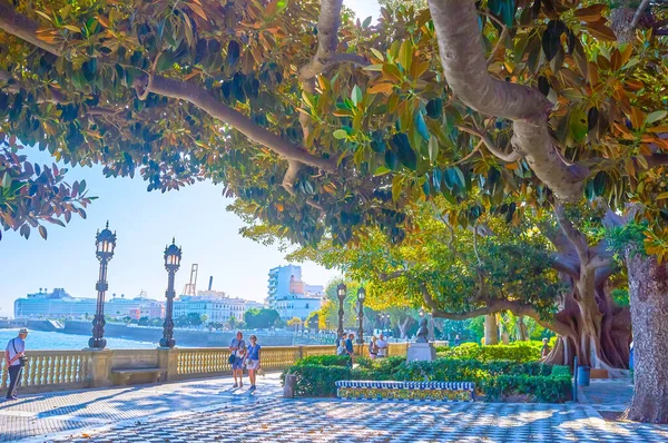 Cadiz Spanien September 2019 Den Trevliga Promenaden Längs Strandpromenaden Alameda — Stockfoto