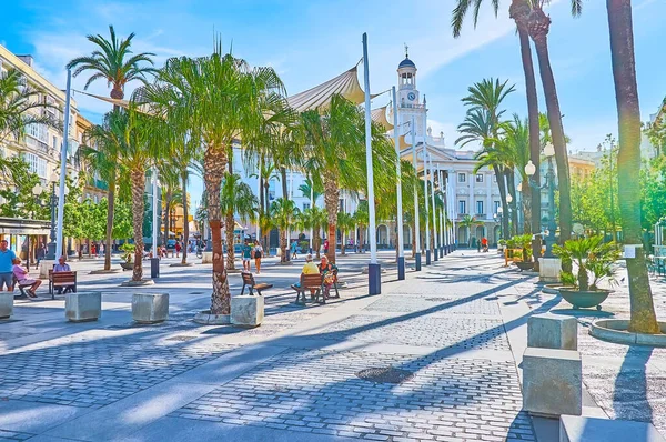 Cadiz Spanje September 2019 Wandel Langs Palmen Het Plein Plaza — Stockfoto