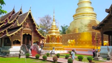 CHIANG MAI, THAILAND - 2 Mayıs 2019: Wat Phra Singh Tapınağı altın Phra Chedi (stupa) ve zengin dekore edilmiş Viharn Lai Kham pavyonu, 2 Mayıs 'ta Chiang Mai' de