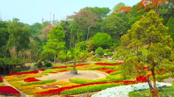 Chiang Rai Tailandia Mayo 2019 Panorama Del Lecho Flores Central — Vídeos de Stock