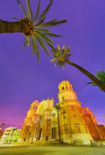 Höga Lutande Palmerna Ovanför Den Historiska Byggnaden Katedralen Cadiz Dimmade — Stockfoto