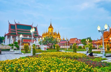 Wat Ratchanatdaram, Bangkok, Tayland 'a bakan Mahajetsadabadin parkındaki parlak sarı kadife çiçekleri.