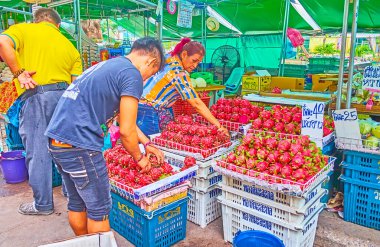 BANGKOK, THAILAND - 13 Mayıs 2019: Mahanak meyve pazarı satıcıları 13 Mayıs 'ta Bangkok' ta taze kırmızı ejderha meyveleri (pitaya) serdiler.