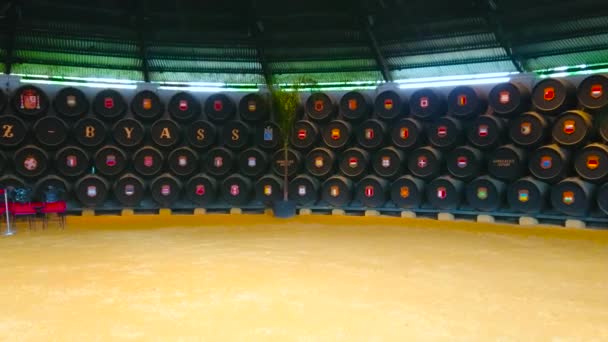 Иерез Испания Сентября 2019 Года Панорама Реального Бодега Конча Винодельни — стоковое видео