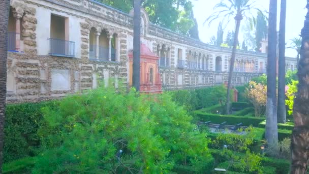 Seville Španělsko Října 2019 Panorama Ozdobné Groteskní Galerie Topiary Alcazar — Stock video