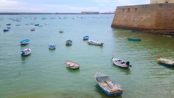 Cadiz スペイン 2019年9月21日 多くの小さな漁船や神々は 9月21日にカディスで サンタカタリナ城の地下にあるラ カレタ港の潮流に揺られています — ストック動画