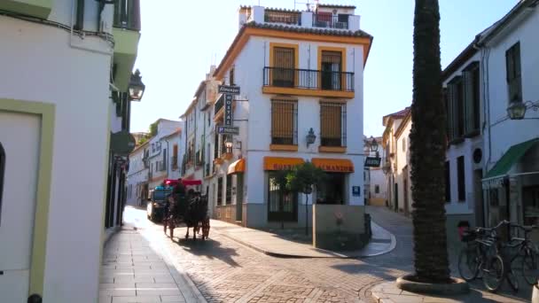 Cordoba Spain September 2019 코르도바에 중세의 지역이 늘어선 거리를 마차로 — 비디오