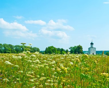 Yeşilliğin tadını çıkar, çayırların arasında uzun otlar, korkuluklar ve yabani çiçeklerle dolu arka planda Nerl nehrindeki şefaat kilisesi manzaralı, Bogolyubovo, Rusya