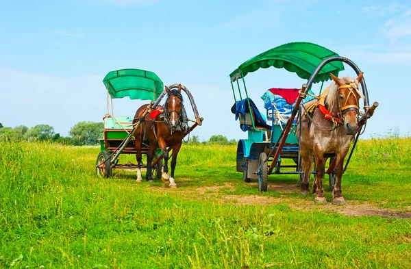 Two horse-drawn carriages wait the tourists on the juicy meadow in Bogolyubovo, Russia — Stock Image Two Horse Drawn Carriages Wait Tourists Juicy Meadow Bogolyubovo Russia Stock Picture