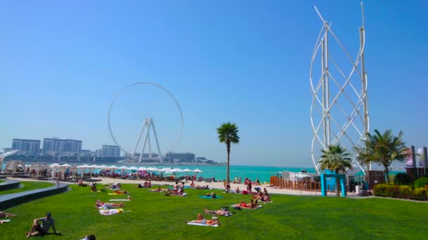2017年3月7日 度假者们在Jbr Marina海滩的草坪上日光浴 观看3月7日在迪拜蓝水岛上的Ain Dubai摩天轮 — 图库视频影像