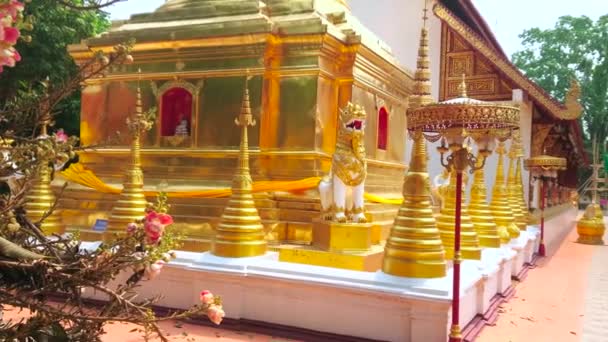 Panorama Gyllene Chedi Wat Phra Singh Dekorerad Med Mini Dumas — Stockvideo