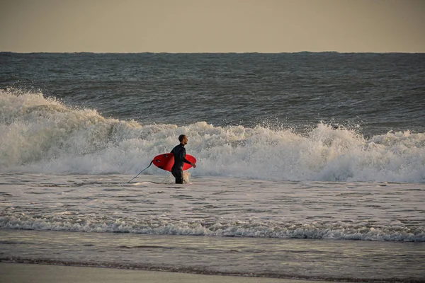 Surfista Que Entra Mar Playa Caravelos Portugal —  Fotos de Stock