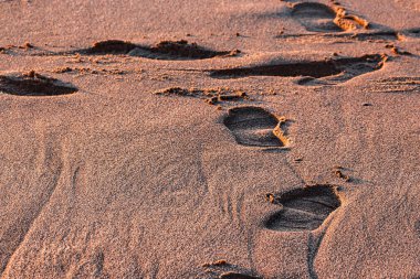 Kumda ayak izleri, tatil, sahil, Portekiz