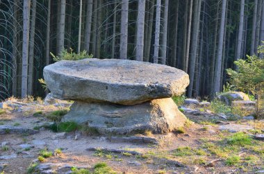 doğal merakı, taş bir tablo, Güney Bohemya