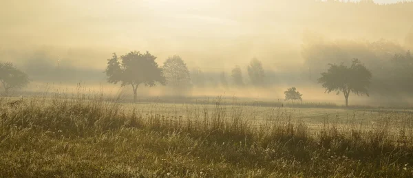 Vista do nascer do sol místico, Boêmia do Sul — Fotografia de Stock