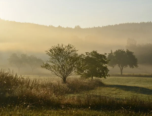 Vista do nascer do sol místico, Boêmia do Sul — Fotografia de Stock